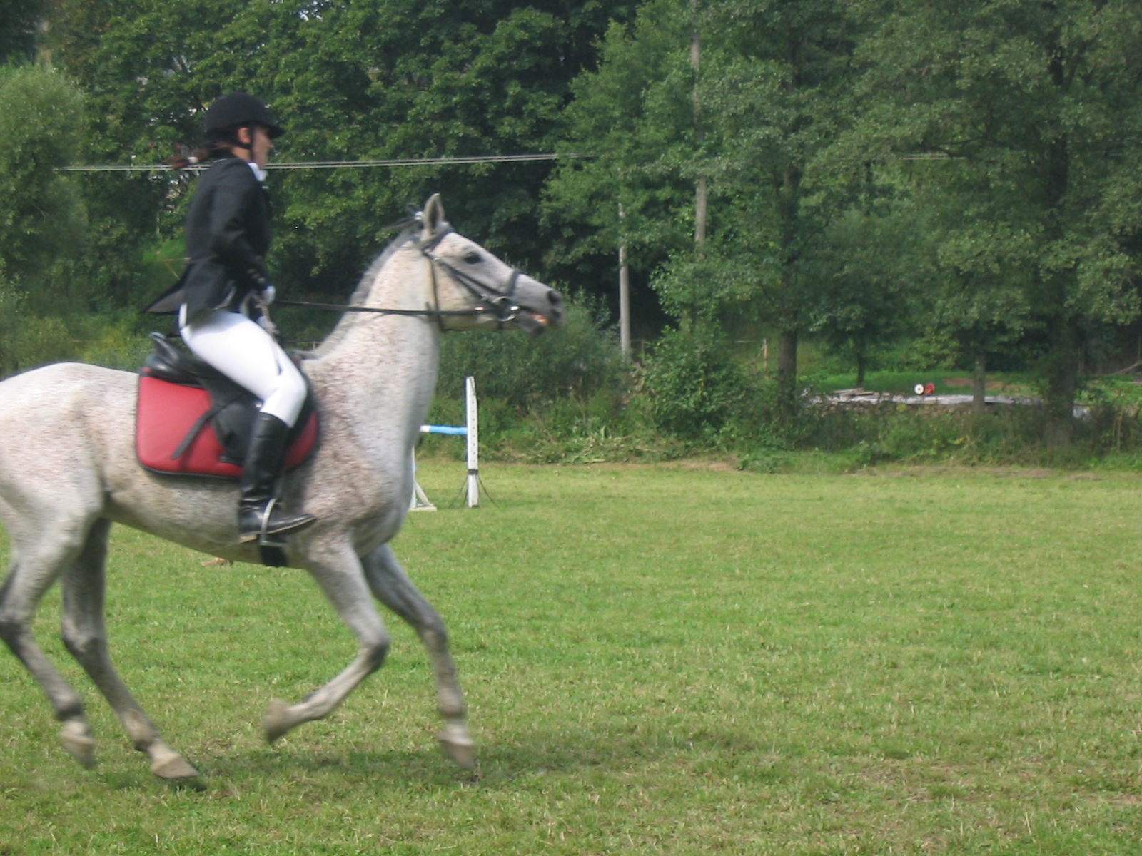 429_2973.JPG
