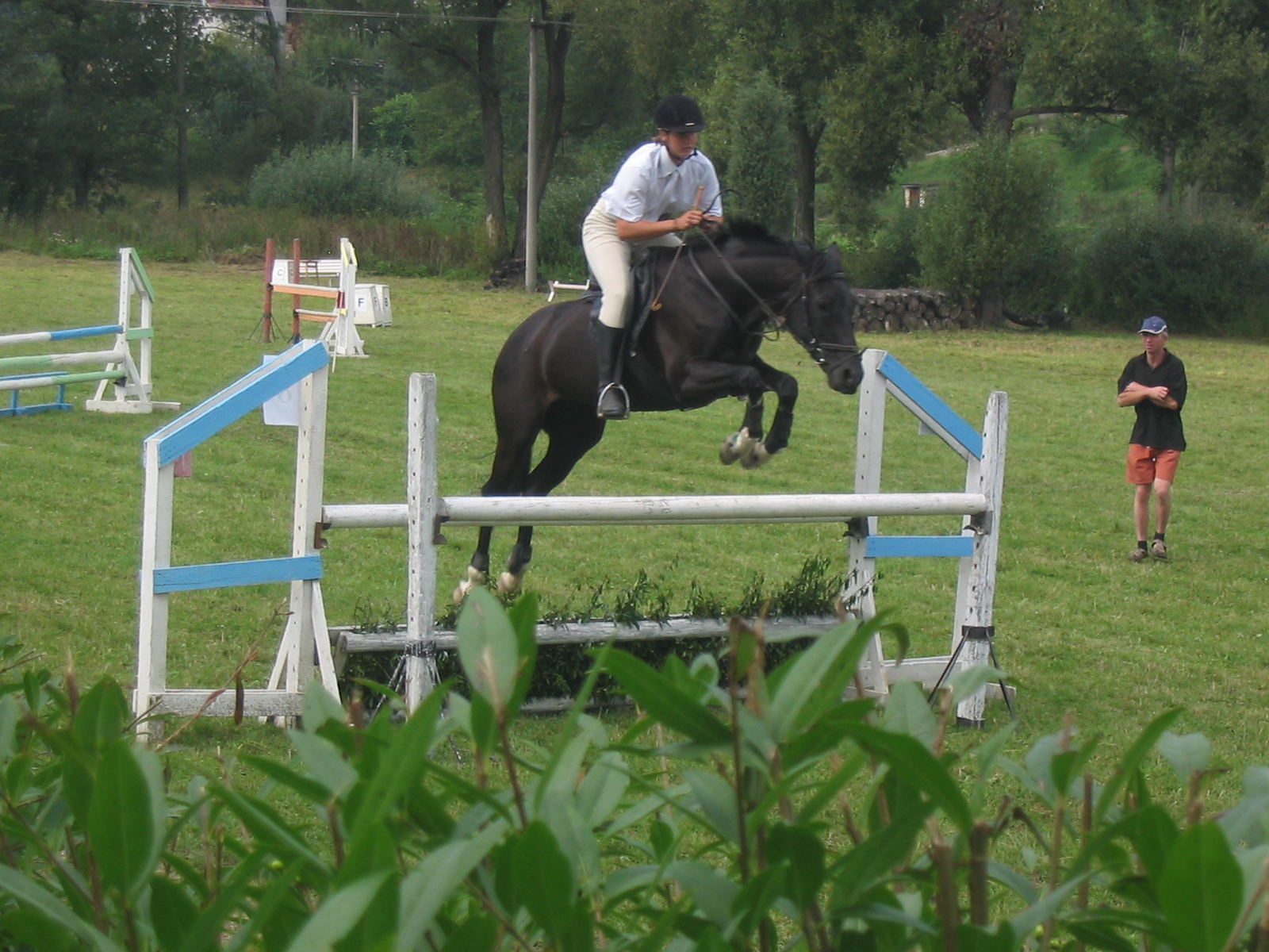 429_2941.JPG